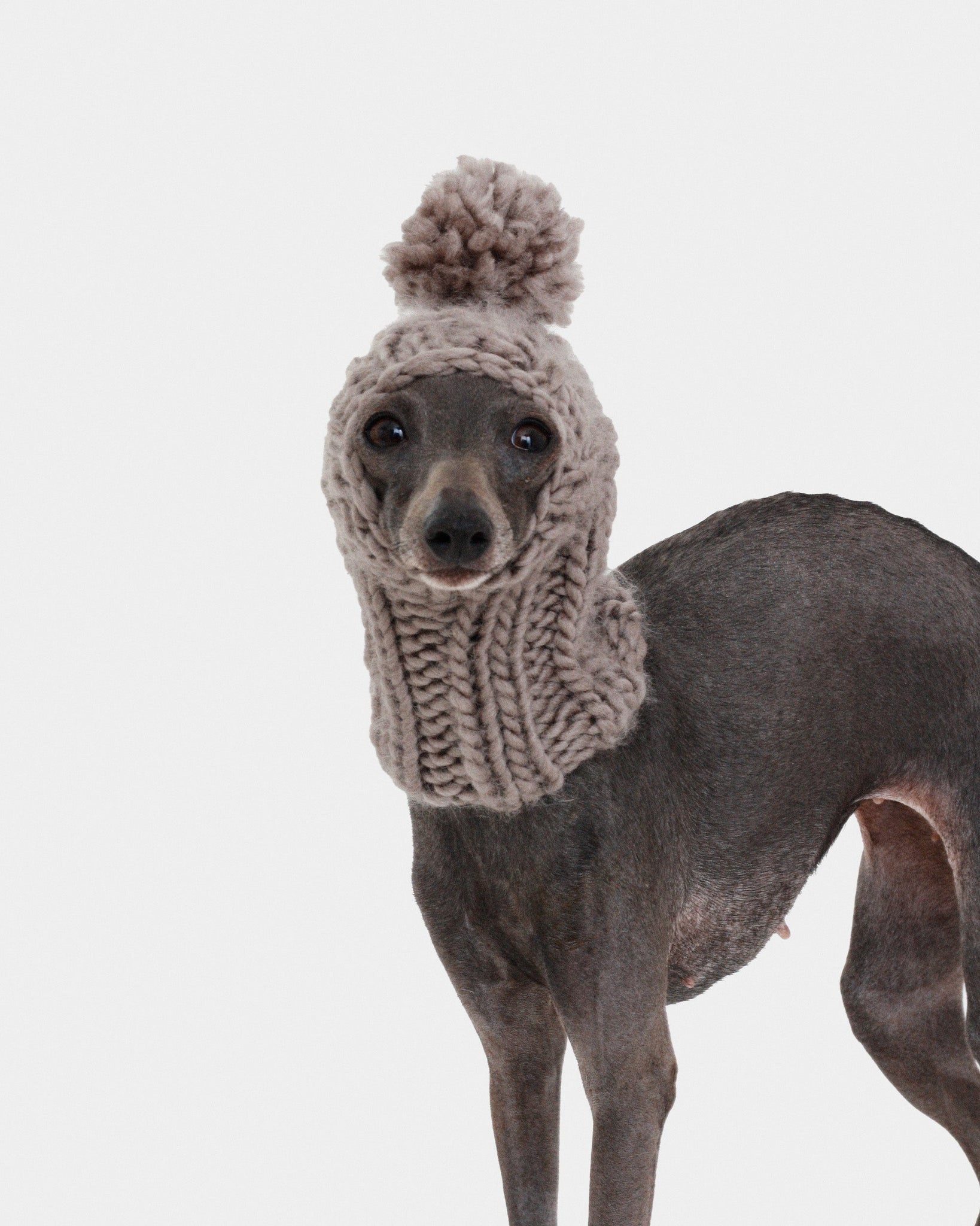 BALACLAVA PUNTO GRIS - IGGY (A MEDIDA)