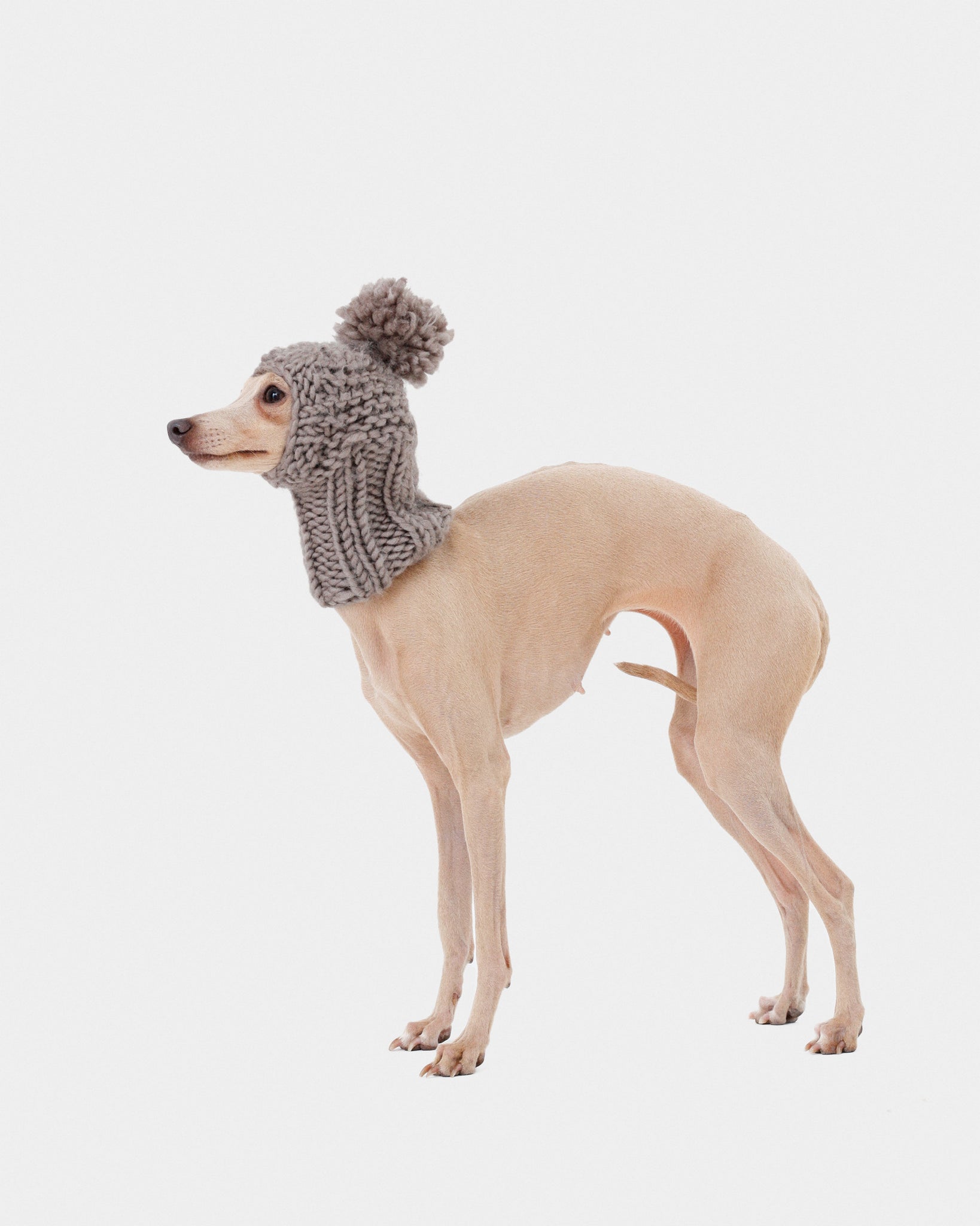 BALACLAVA PUNTO GRIS - WHIPPET (A MEDIDA)