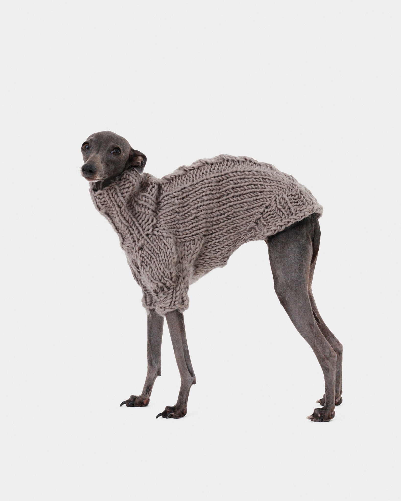 JERSEY PUNTO GRIS - WHIPPET (A MEDIDA)