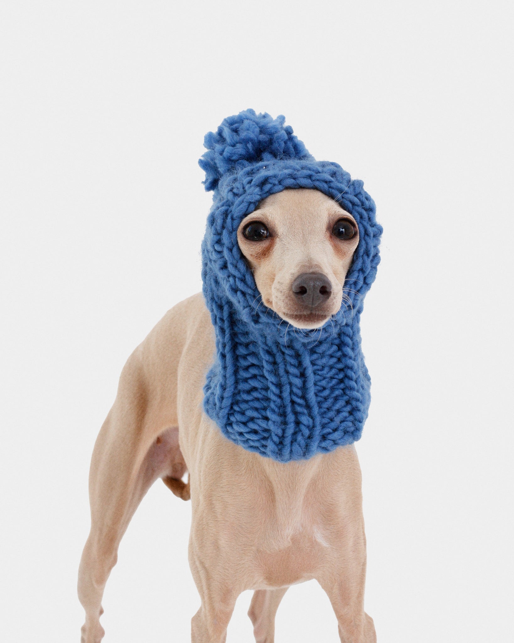 BALACLAVA PUNTO AZUL - IGGY (A MEDIDA)