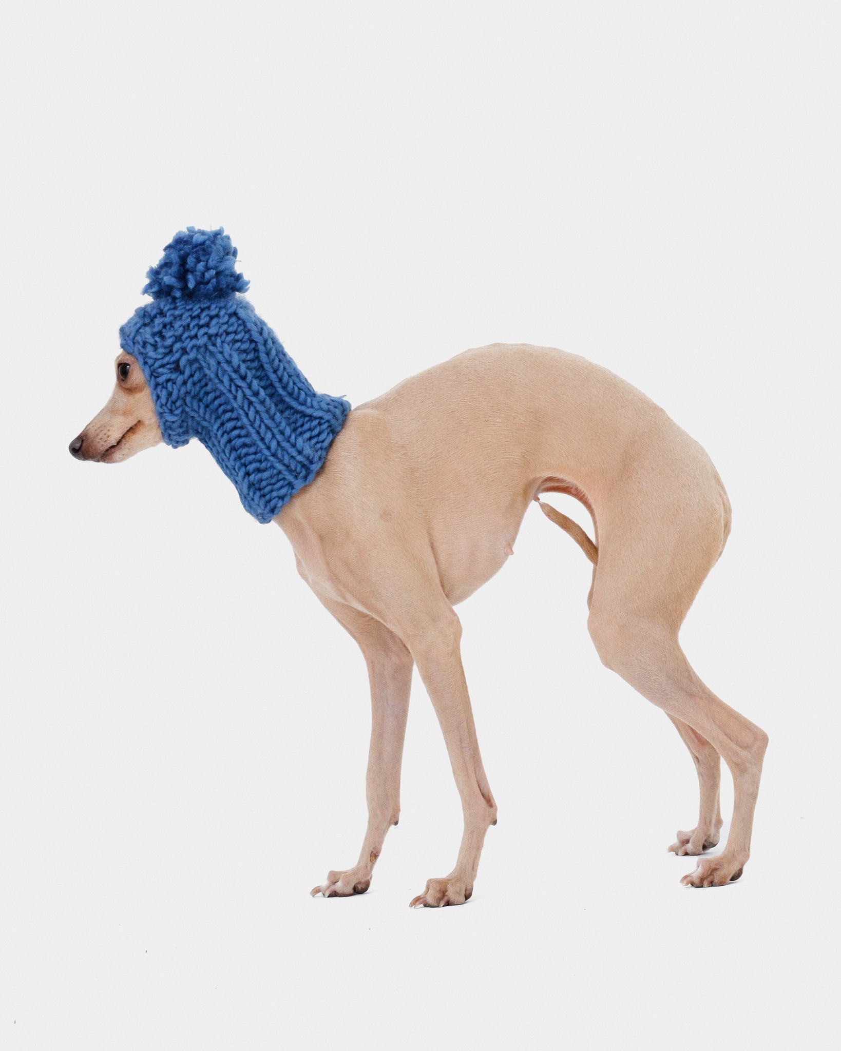 BALACLAVA PUNTO AZUL - IGGY (A MEDIDA)