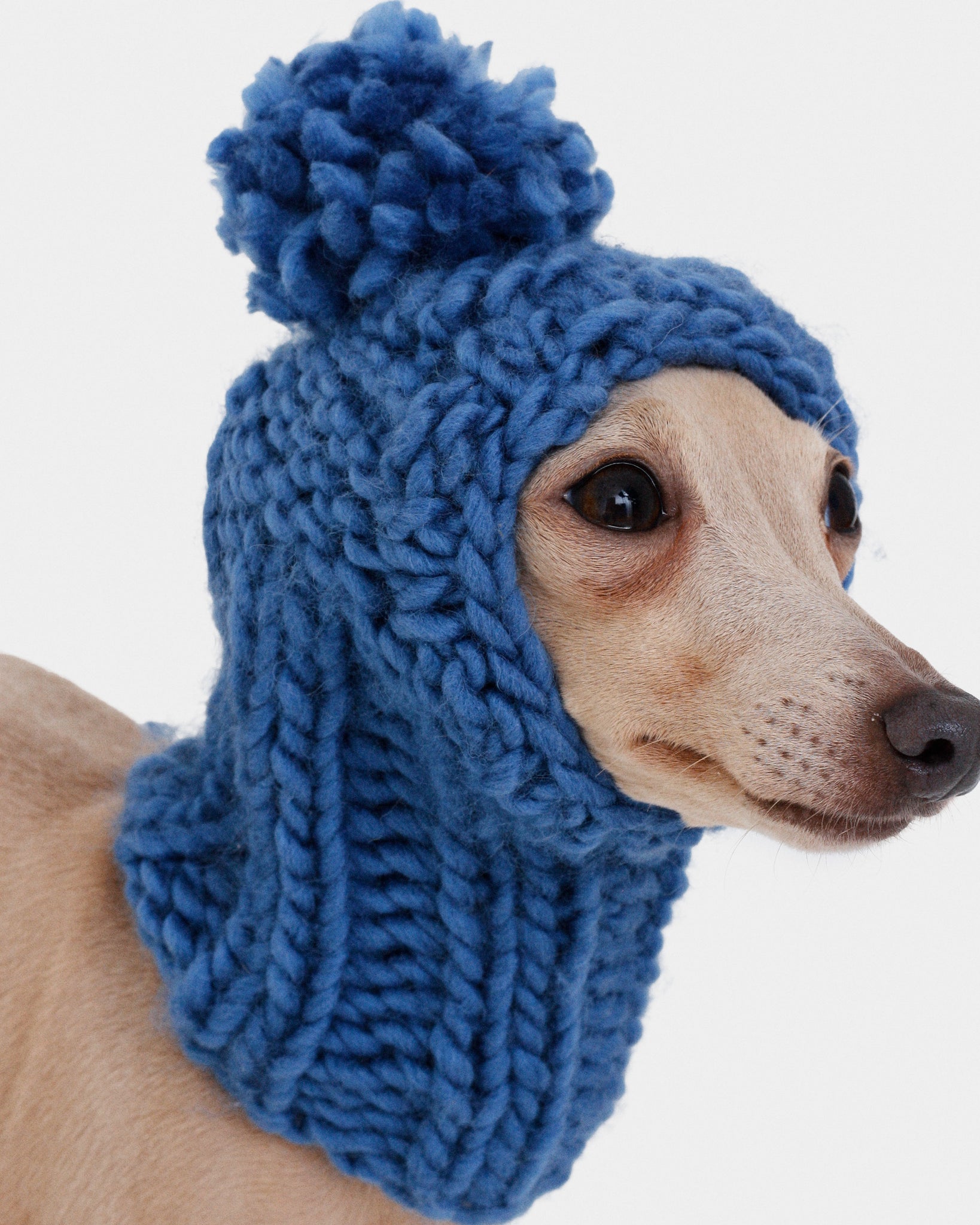 BALACLAVA PUNTO AZUL - IGGY (A MEDIDA)