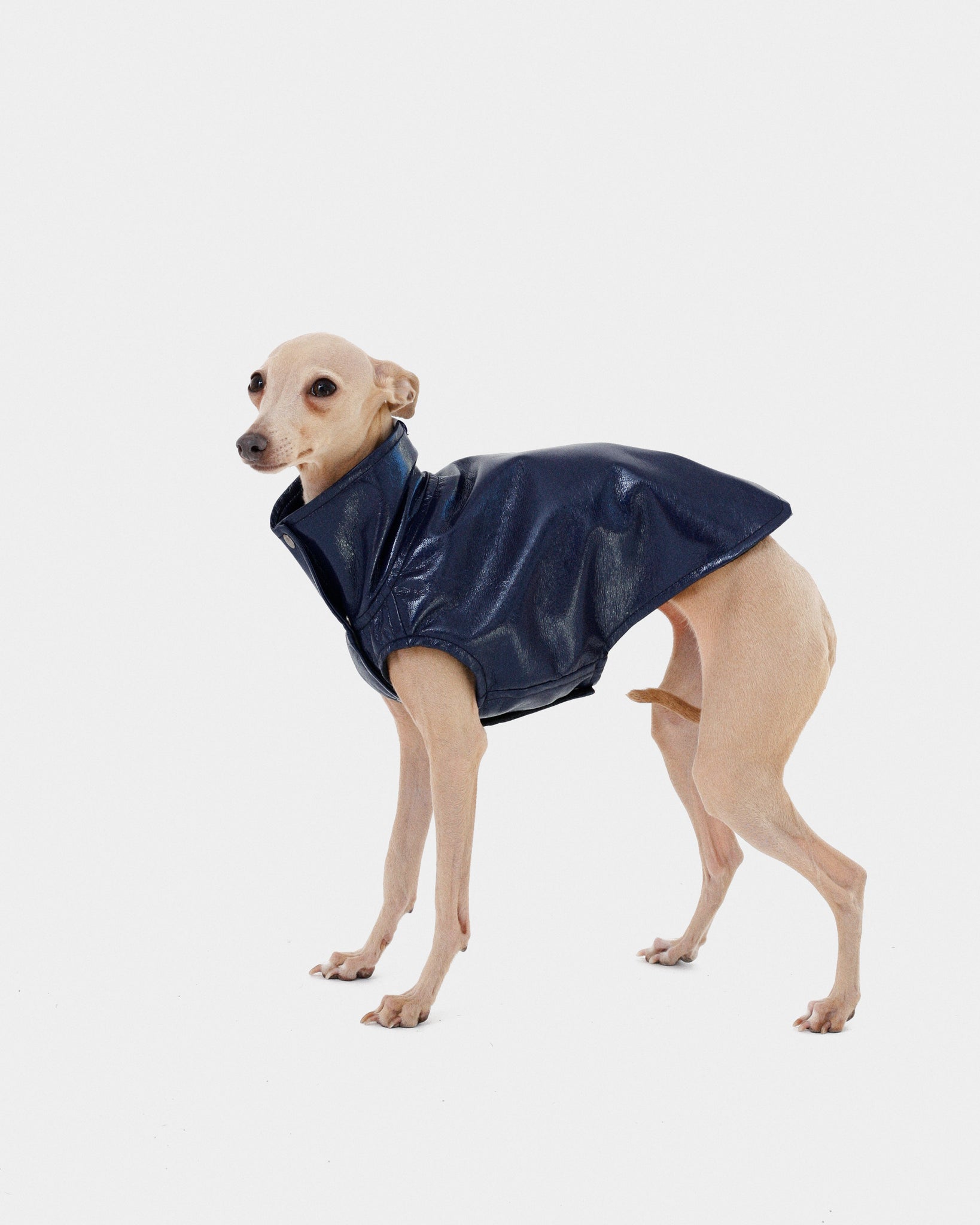 CHALECO REVERSIBLE WATERPROOF - IGGY