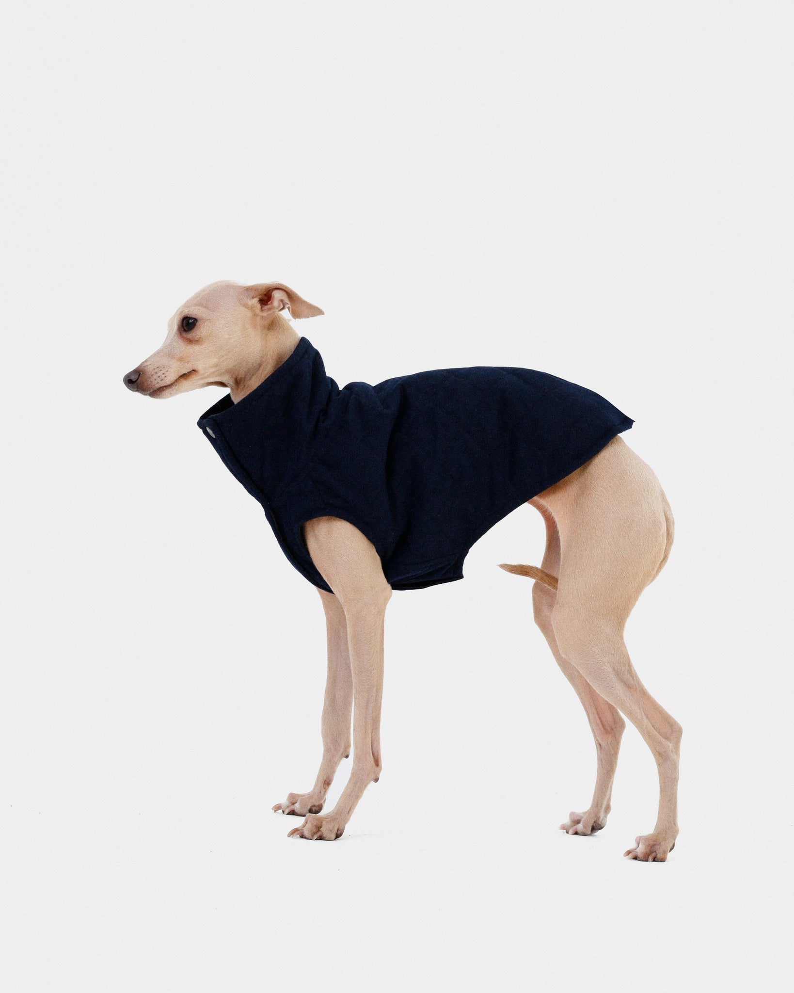 CHALECO REVERSIBLE TERCIOPELO ED. LIMITADA - IGGY (BAJO PEDIDO)