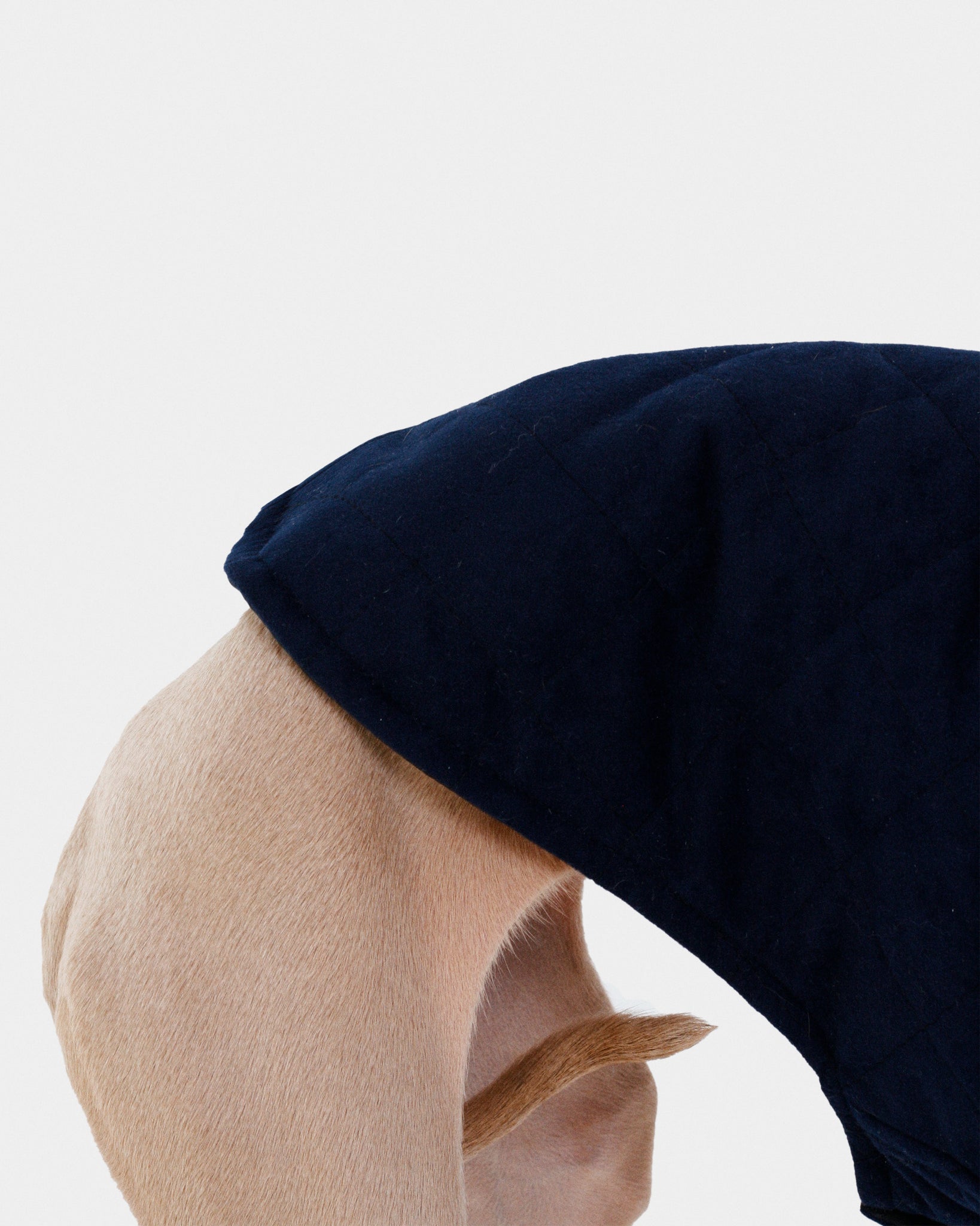 CHALECO REVERSIBLE TERCIOPELO ED. LIMITADA - WHIPPET (BAJO PEDIDO)