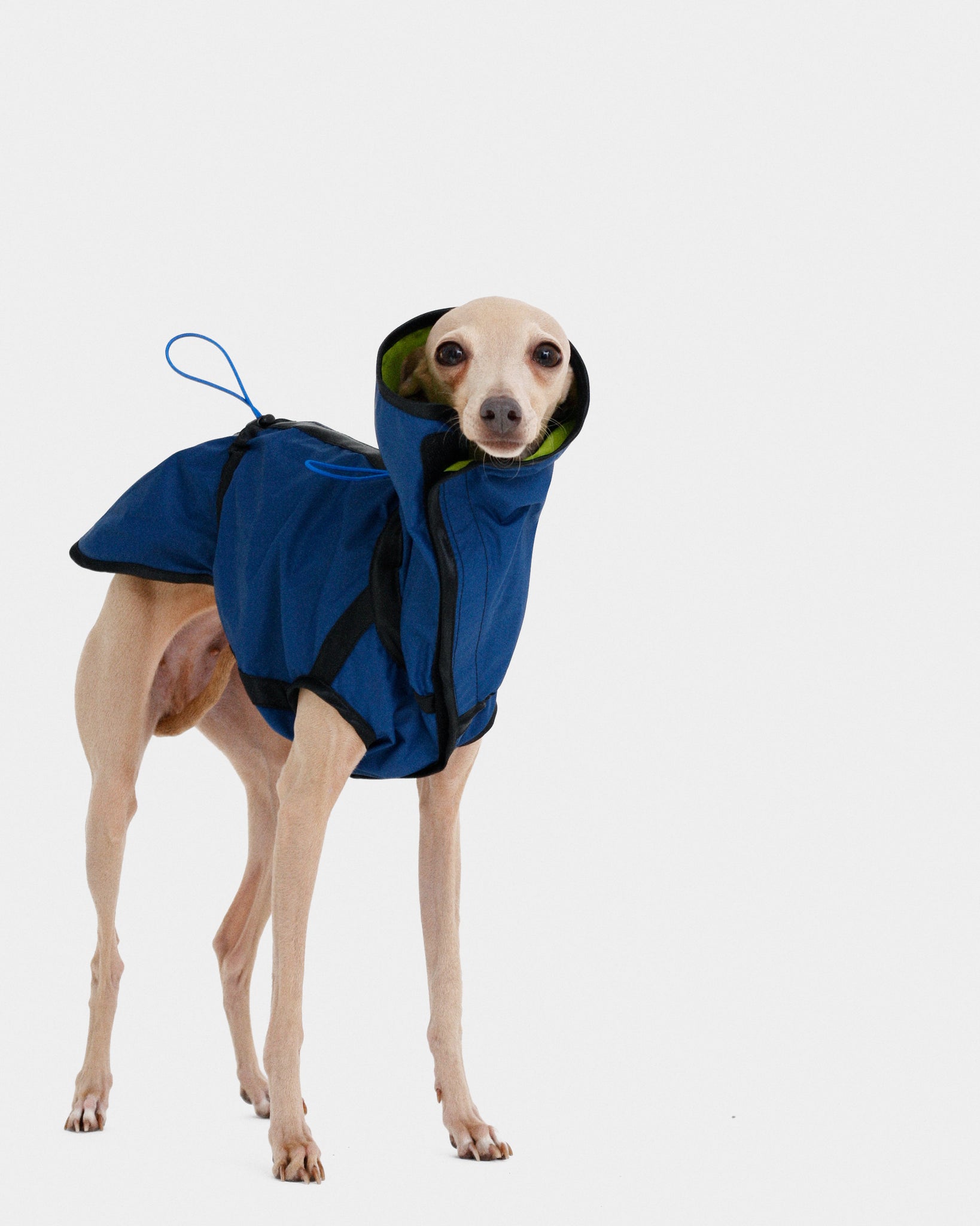 CHUBASQUERO REVERSIBLE - IGGY (ED. LIMITADA)