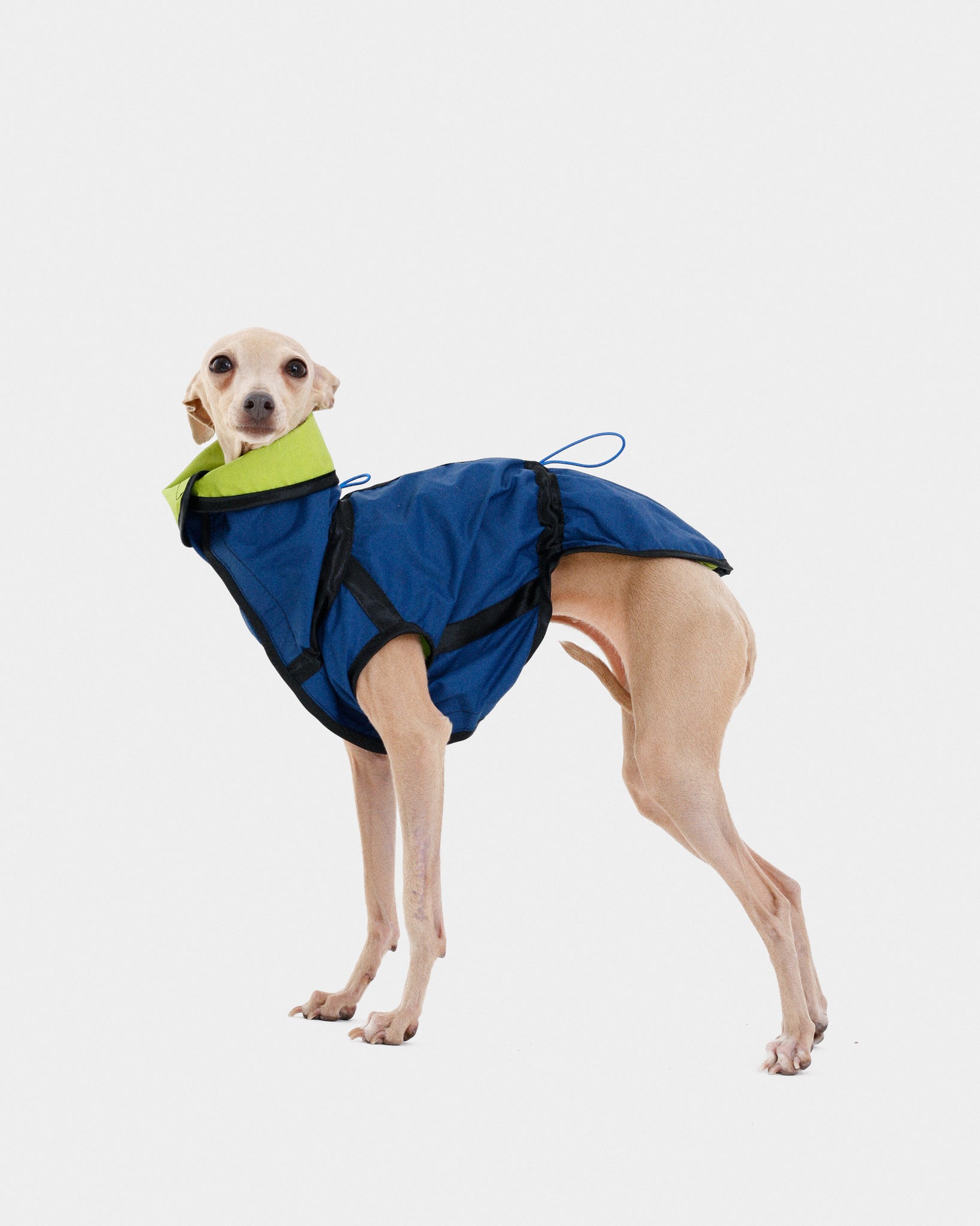 CHUBASQUERO REVERSIBLE - IGGY (ED. LIMITADA)