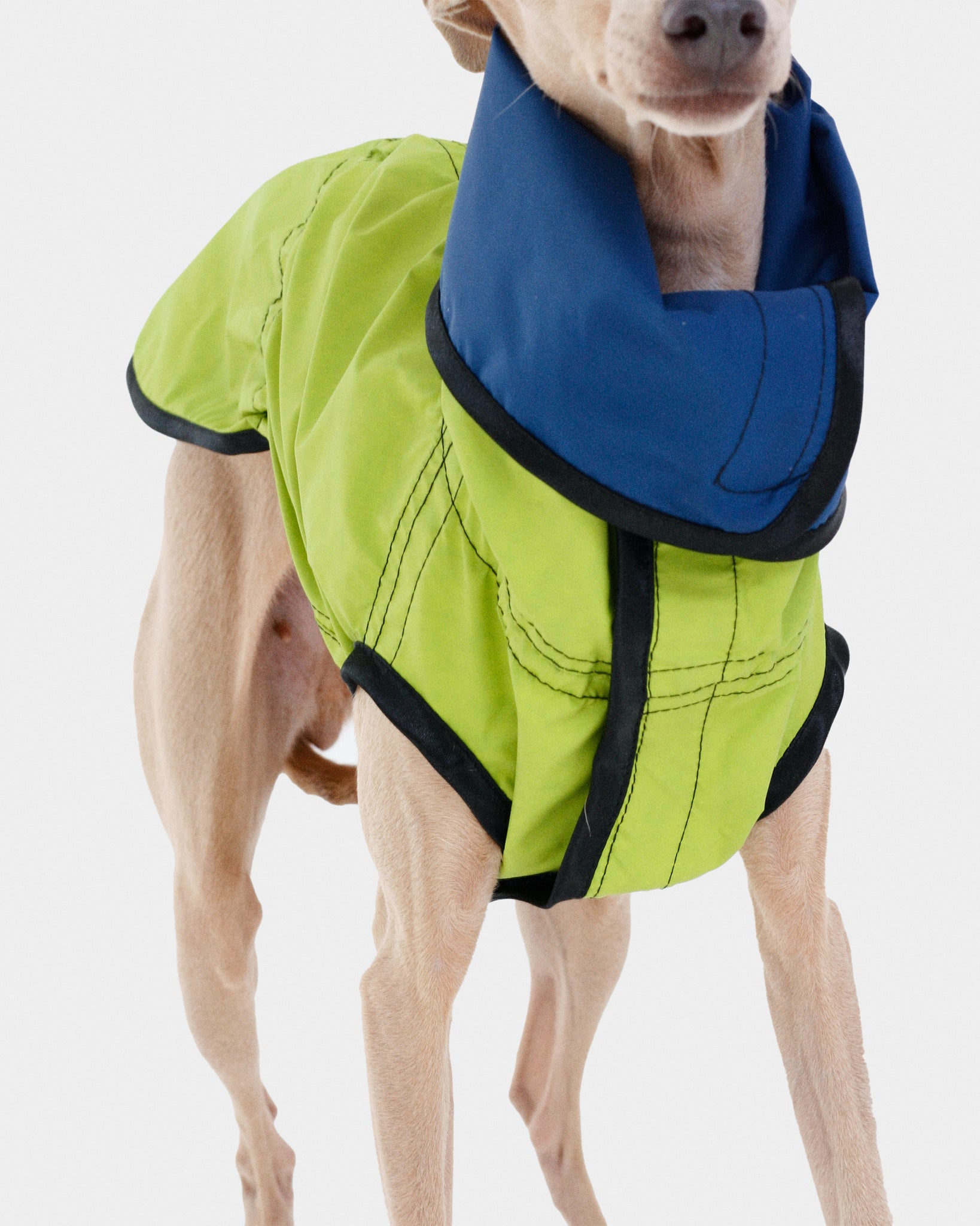 CHUBASQUERO REVERSIBLE - IGGY (ED. LIMITADA)