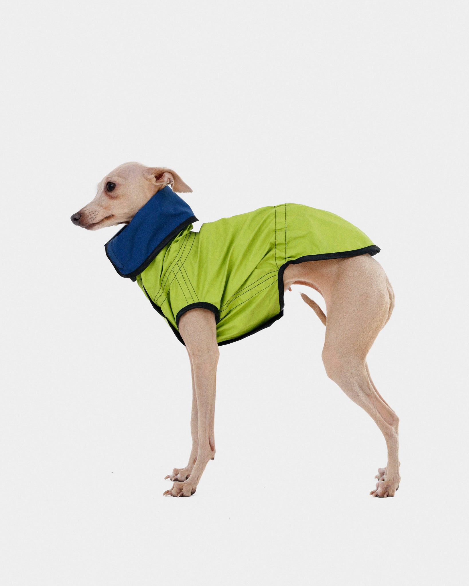 CHUBASQUERO REVERSIBLE - IGGY (ED. LIMITADA)