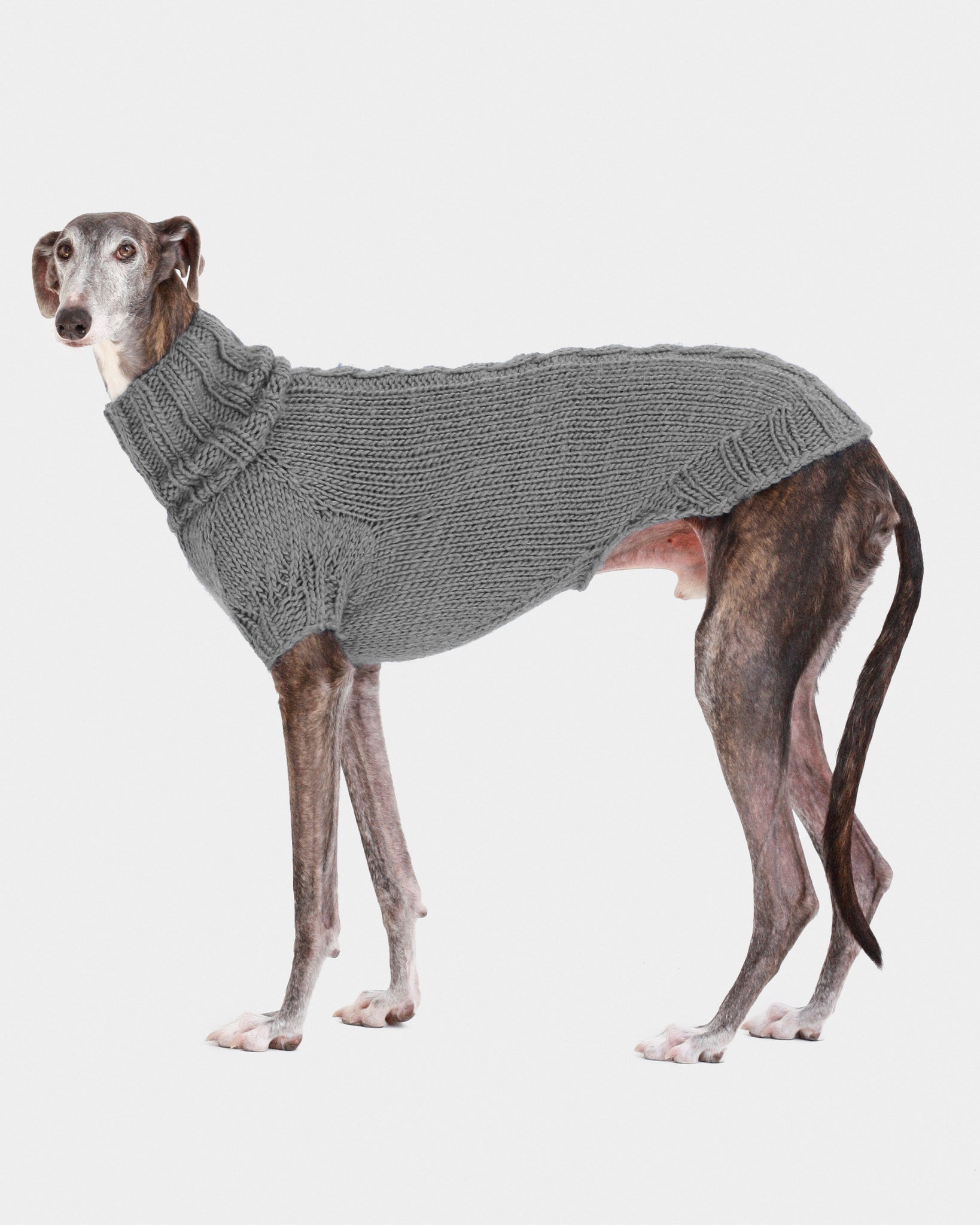 JERSEY PUNTO GRIS - GALGO (A MEDIDA)