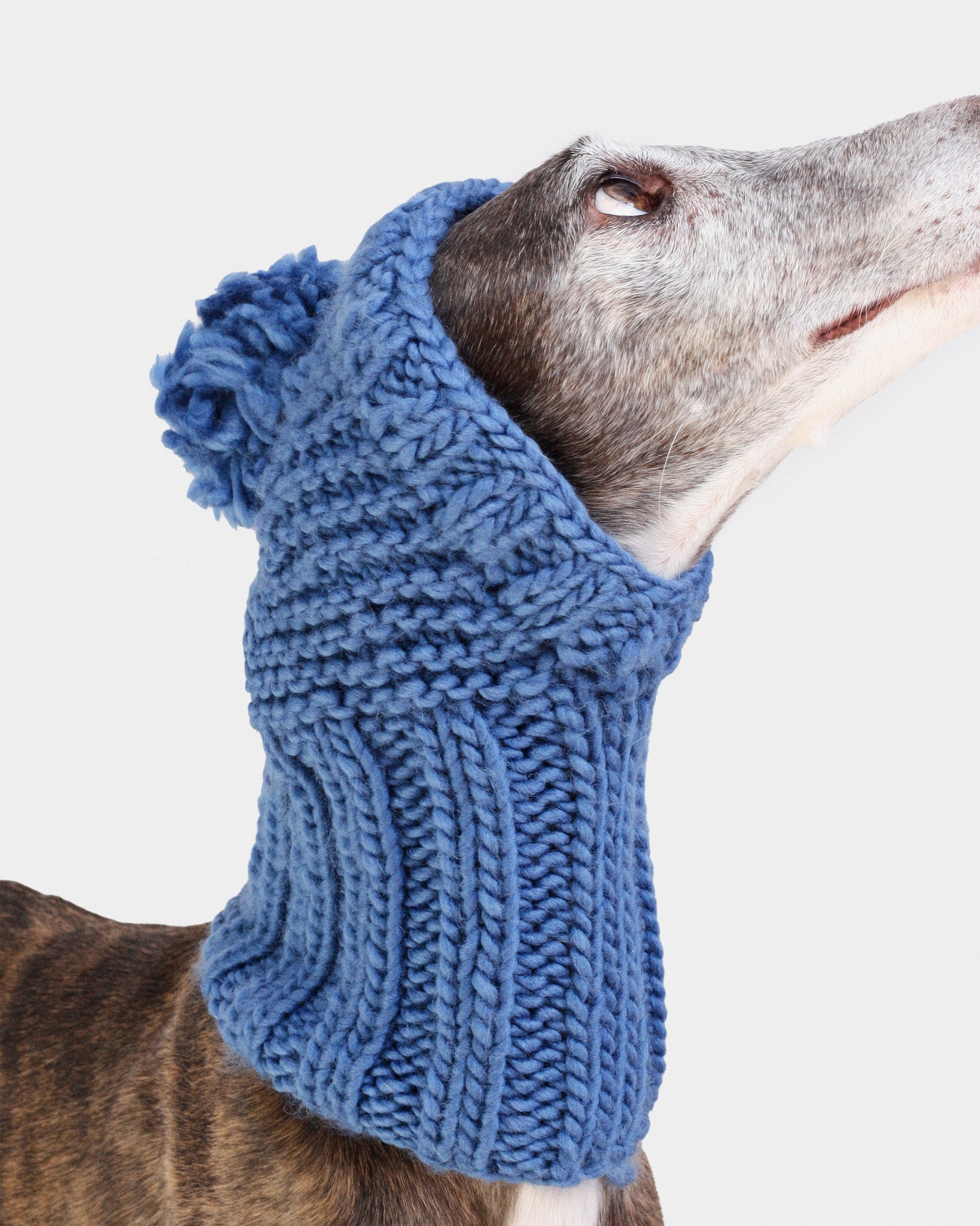 BALACLAVA PUNTO AZUL - GALGO (A MEDIDA)