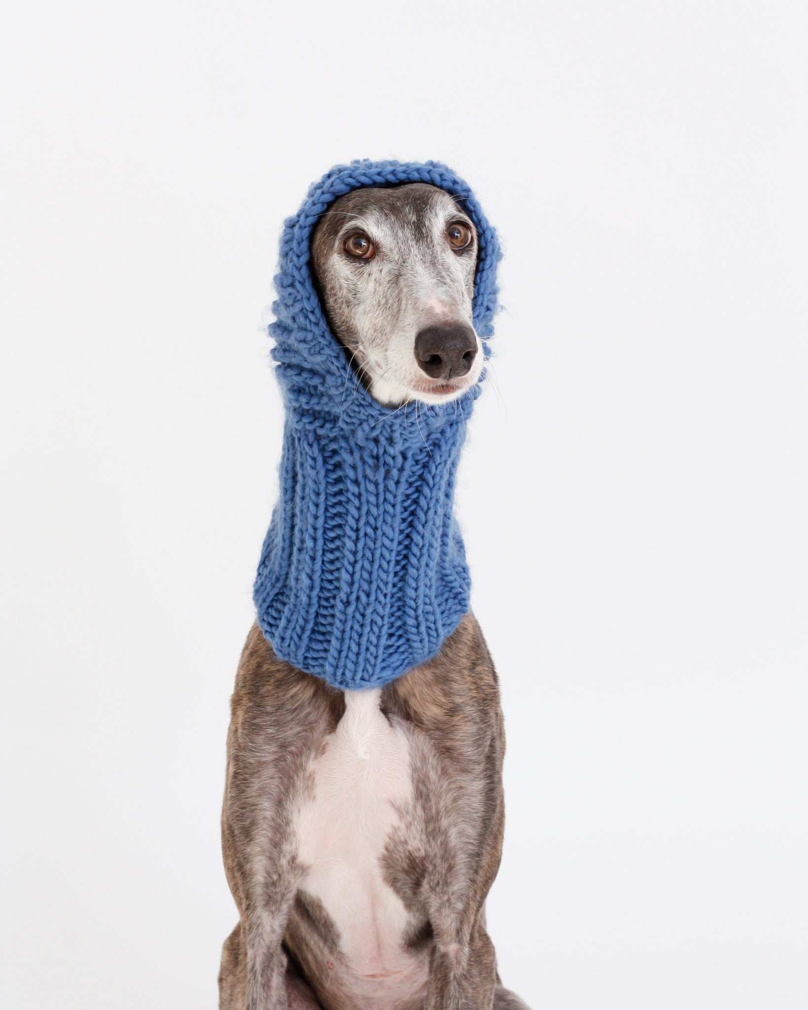 BALACLAVA PUNTO AZUL - GALGO (A MEDIDA)