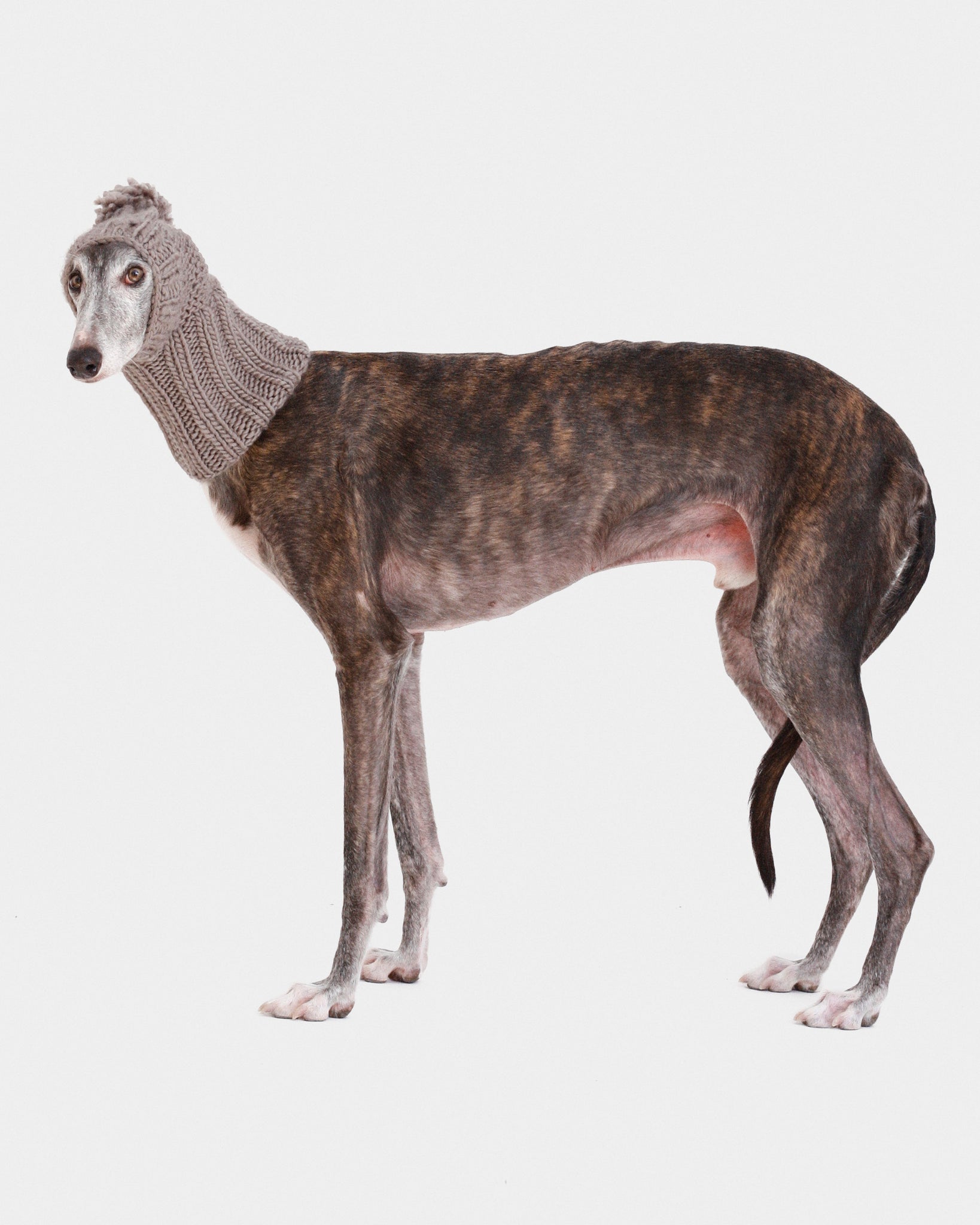 BALACLAVA PUNTO GRIS - GALGO (A MEDIDA)