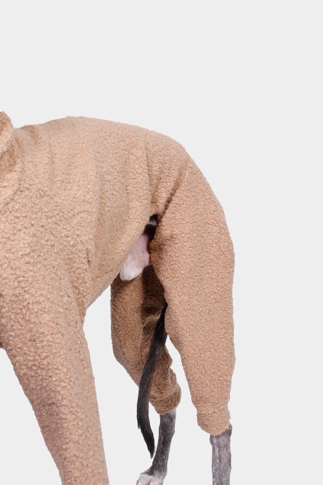 SUDADERA BOUCLE BEIGE 4 PATAS - GALGO (BAJO PEDIDO)