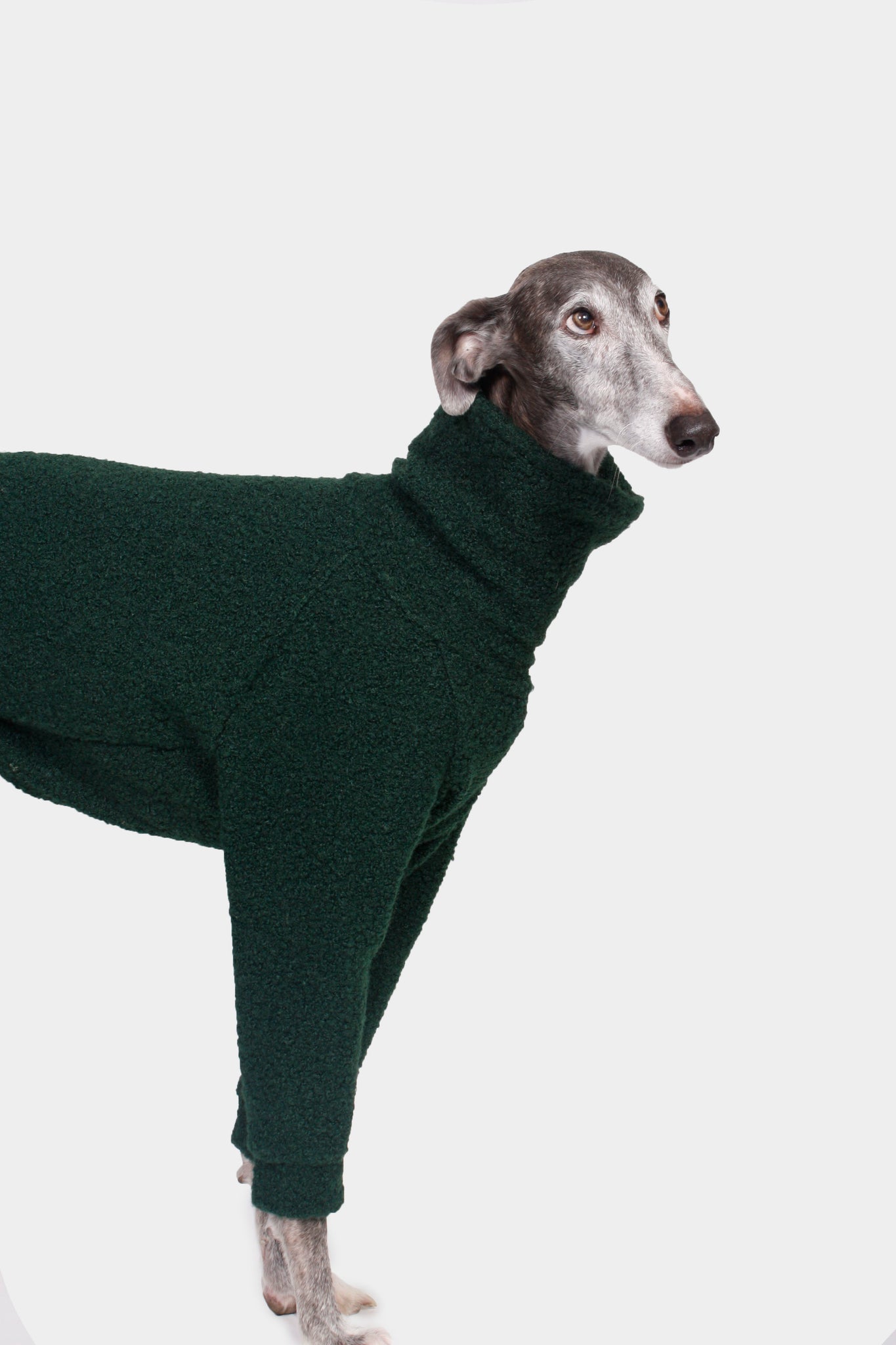 SUDADERA BOUCLE VERDE 4 PATAS - GALGO (BAJO PEDIDO)